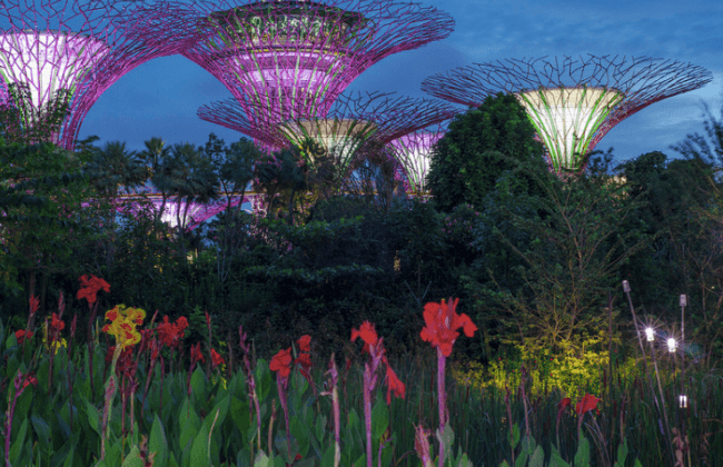 The Gardens by the Bay in Singapore. 