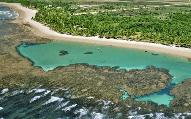 the reef at taipu do fora