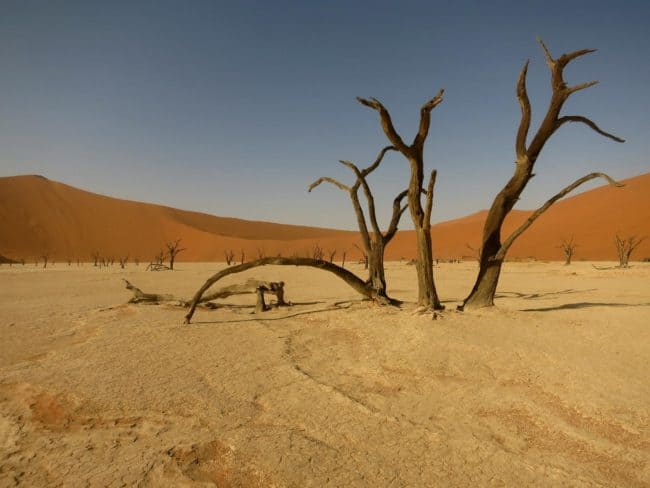 A photo I took of the Sossusvlei Salt and Clay Pan in the Namib Desert of Namibia: photo credit Sarah Page Maxwell