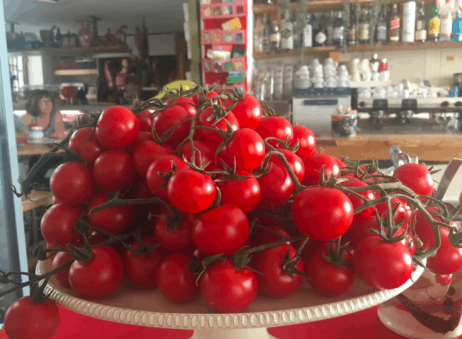 Display of tomatoes on my table at Coffee & More.