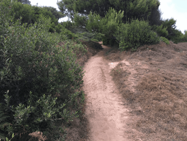 This low shrubbery was the most shade provided anywhere on the trail. 