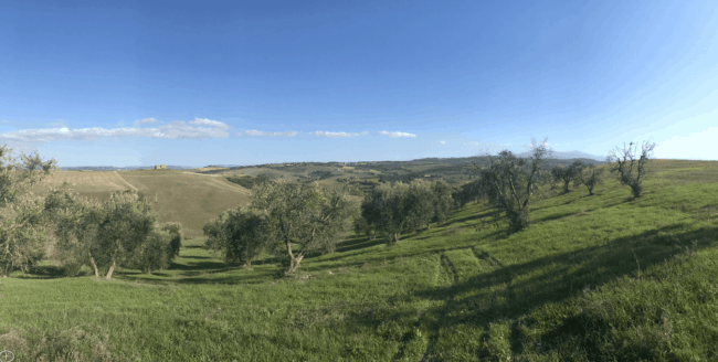 e-biking around the Val d'Orcia